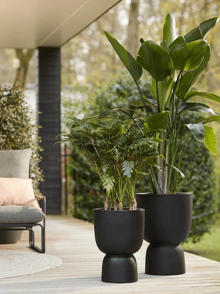 Elho Pure Coupe 35 - Bloempot Voor Binnen & Buiten - Ø 34.9 X H 49.0 Cm - Zwart/Zwart 10 Elho Pure Coupe 35 - Bloempot Voor Binnen & Buiten - Ø 34.9 X H 49.0 Cm - Zwart/Zwart - Afbeelding 10