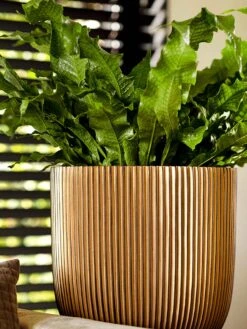 Capi Europe - Bloempot Bol Groove - 23x21 - Goud - Bloempot Voor Binnen - BGVGB134 -Tuin- En Buitenwinkels 900x1200 19