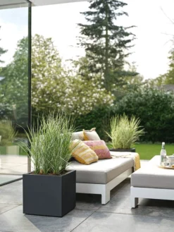 Elho Vivo Next Vierkant 30 - Plantenbak Voor Binnen & Buiten - Ø 29.5 X H 29.5 Cm - Zwart/Living Black -Tuin- En Buitenwinkels 900x1200 24