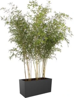 Elho Vivo Matt Finish Lang Wielen 90 - Grote Staande Plantenbak Voor Binnen & Buiten - Gemaakt Van Gereycled Plastic - L 39 X W 88 X H 41 Cm - Zwart -Tuin- En Buitenwinkels 911x1200 1