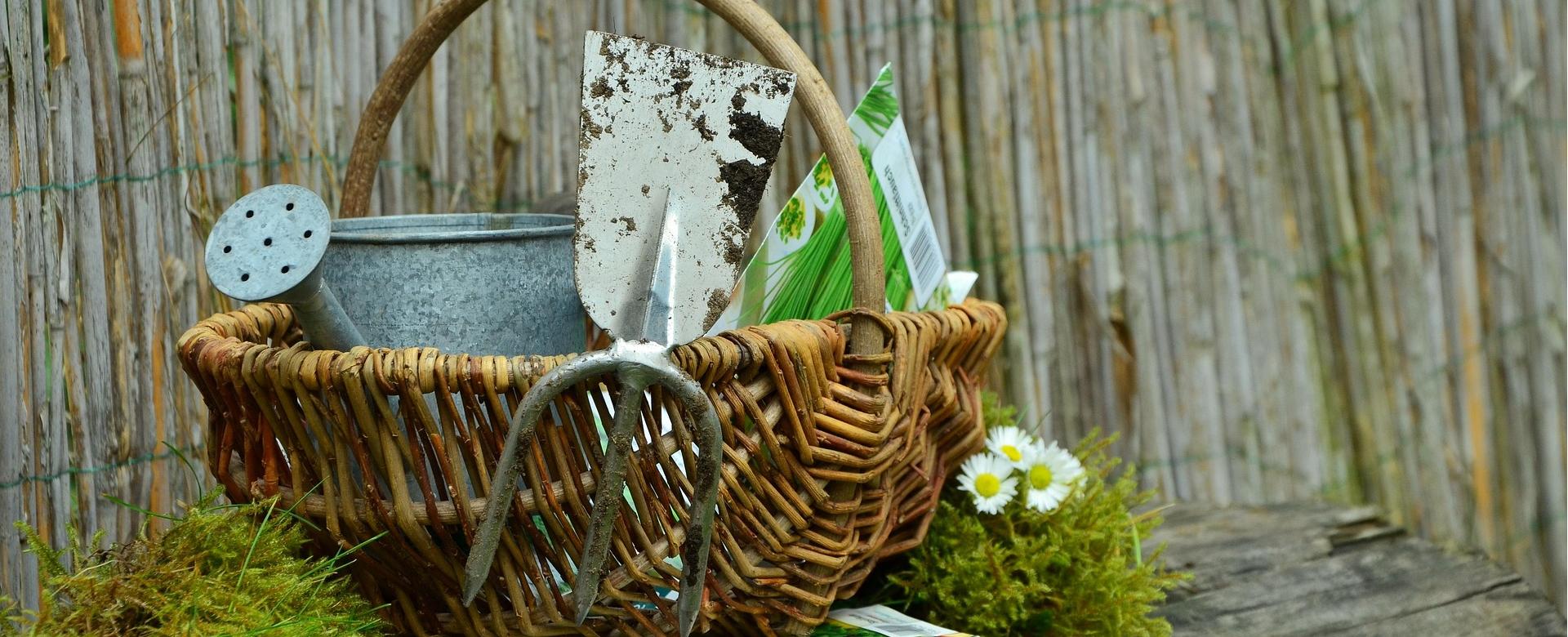 Tuin- En Buitenwinkels 1 Tuin- En Buitenwinkels -Tuin- En Buitenwinkels garden 1290801 1920