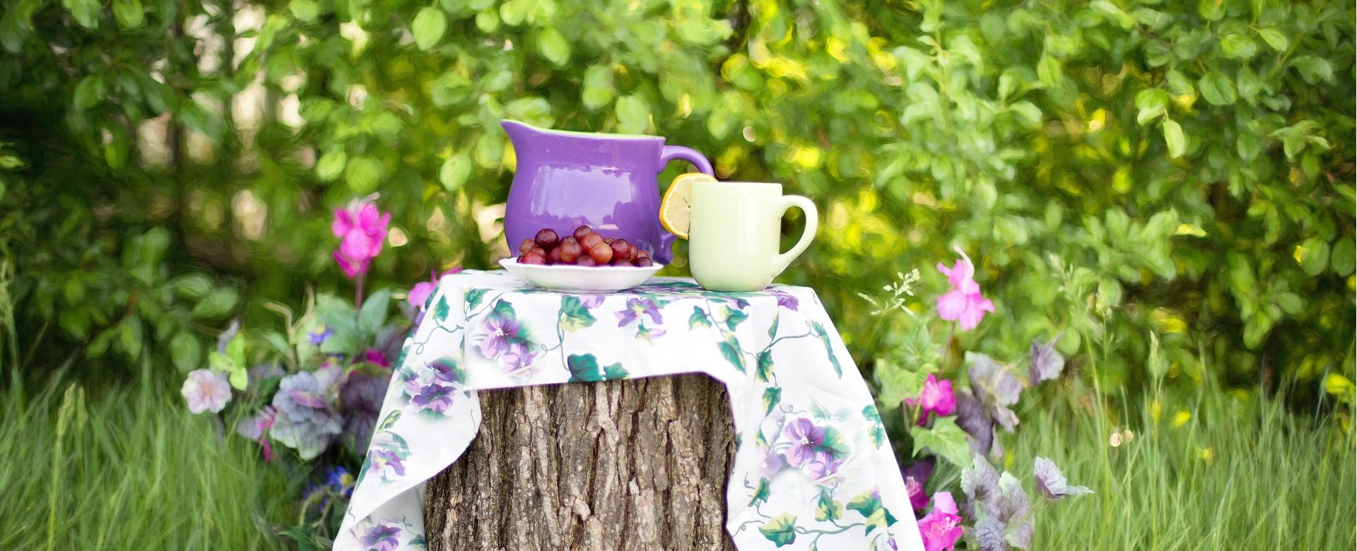 Tuin- En Buitenwinkels 10 Tuin- En Buitenwinkels -Tuin- En Buitenwinkels garden 783344 1920